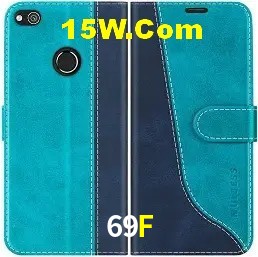 Experiência VIP 69F